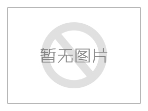德国Kracht液压过程泵KF 1/11 D10K P0A 0DE32/130
